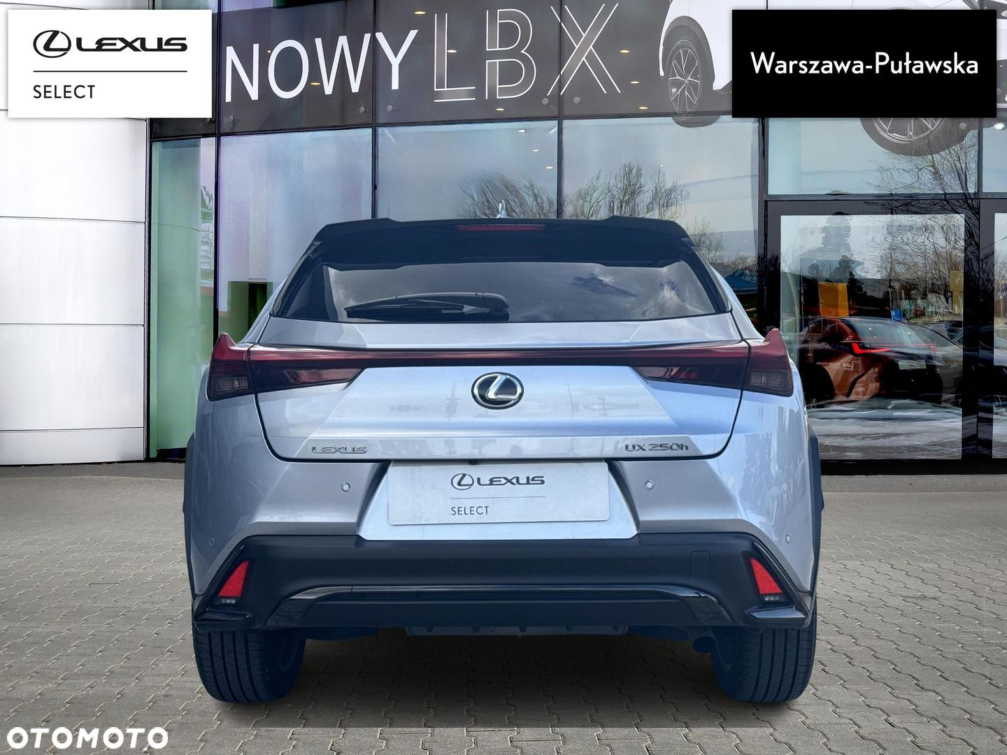 Lexus UX 250h GPF F Sport Design 2WD - 8