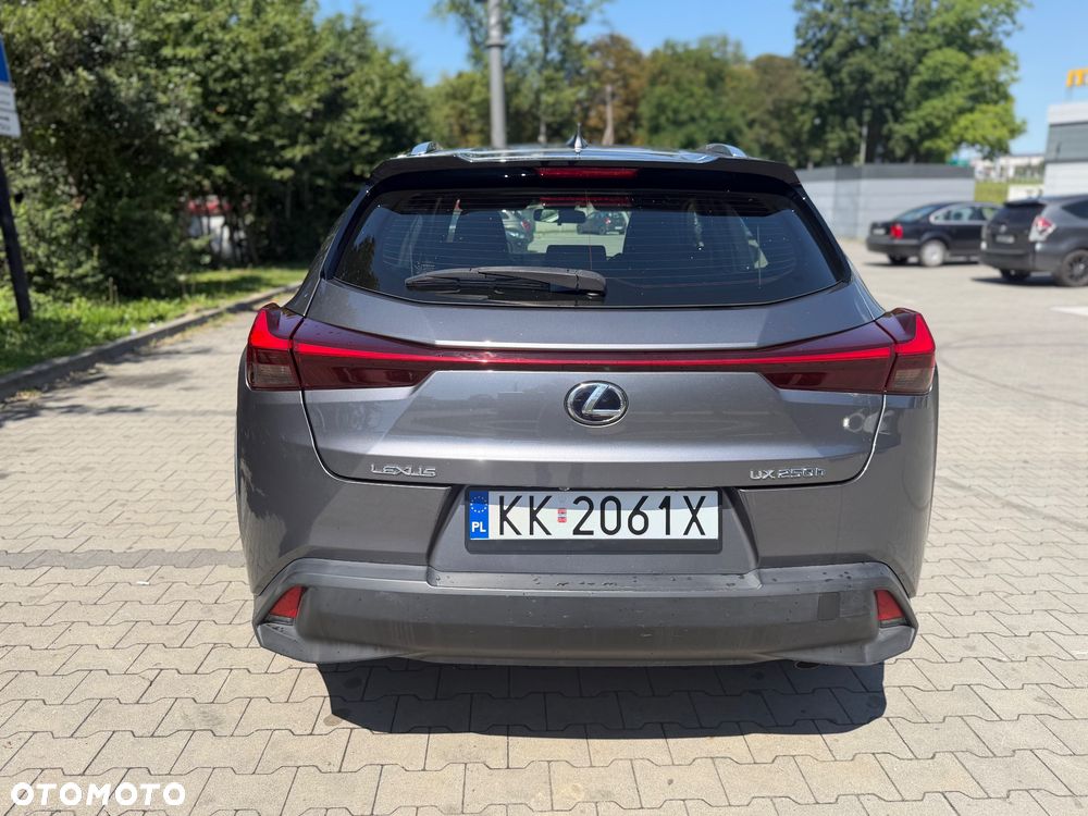 Lexus UX 250h GPF Business Edition AWD - 7