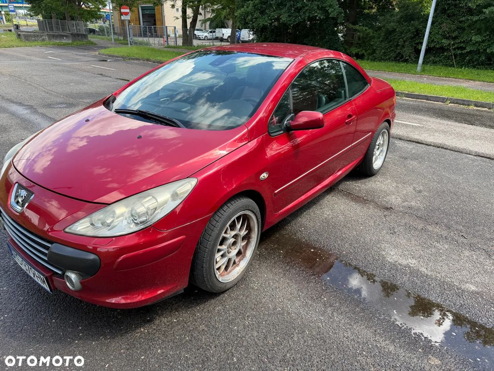 Peugeot 307 CC 2.0 - 6