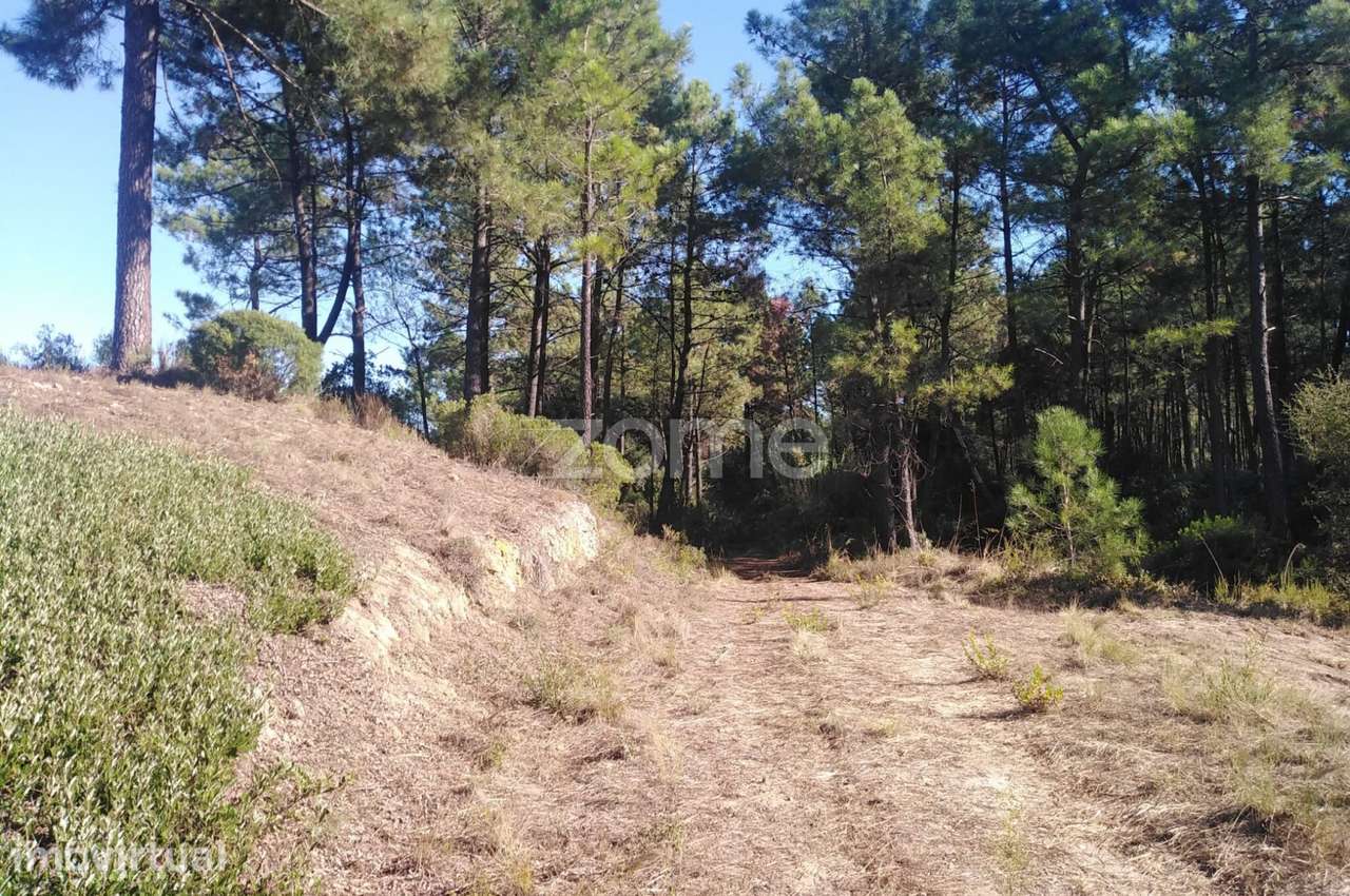 Terreno em Fernão Ferro, a 30 minutos de Lisboa. - Grande imagem: 2/18