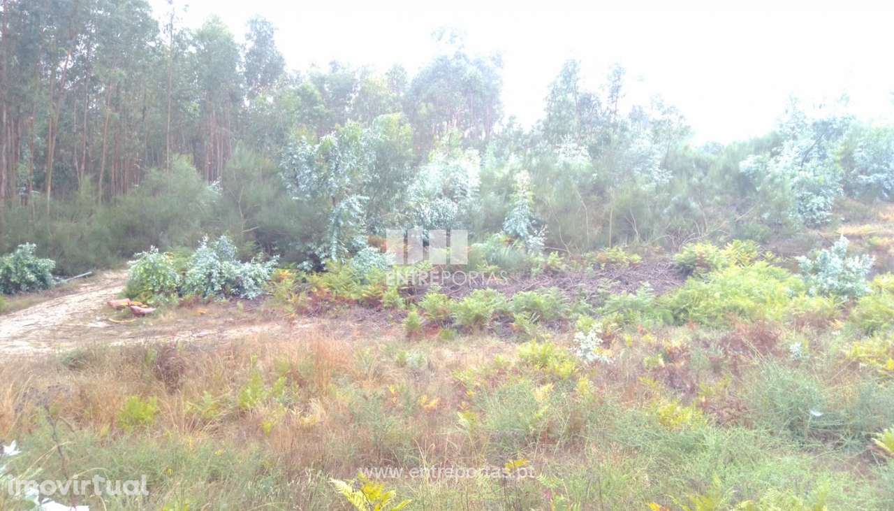 Venda Terreno com 3 hectares, Vila Boa de Quires, Marco de Canaveses - Grande imagem: 3/31