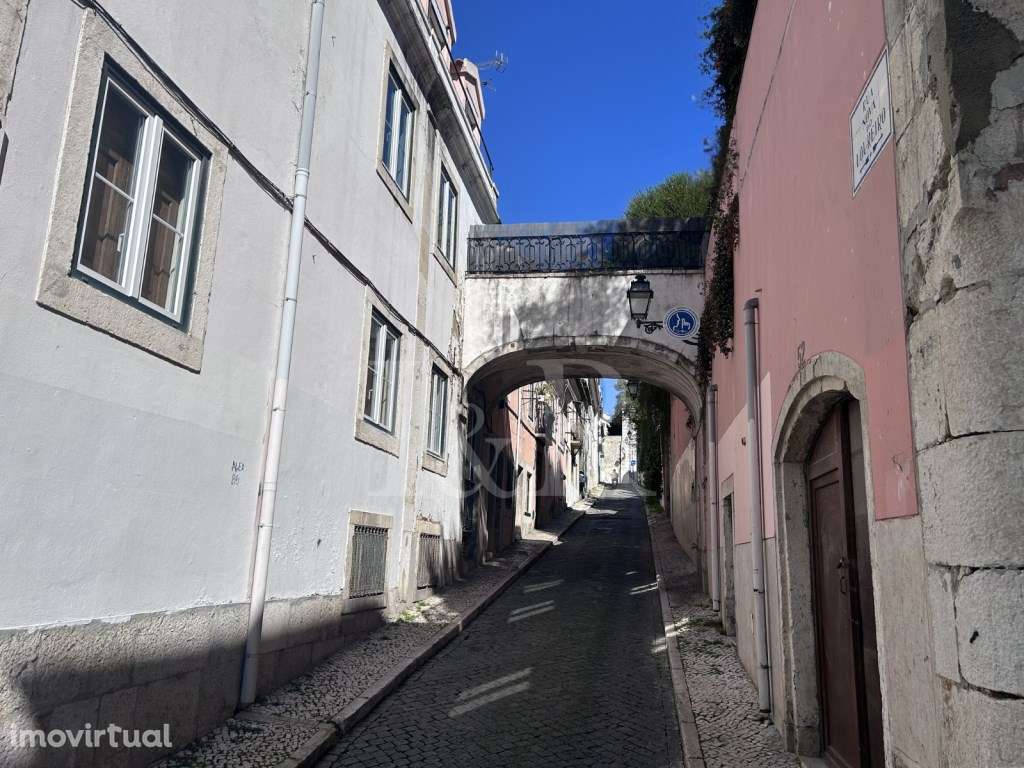 Mt Premier Laurel Príncipe Real - Grande imagem: 5/19