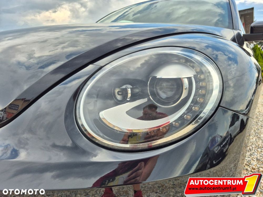Volkswagen Beetle - 4