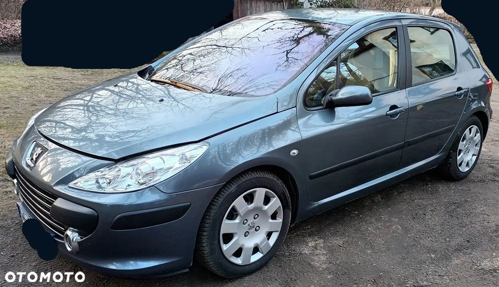 Peugeot 307 1.6 HDi - 18