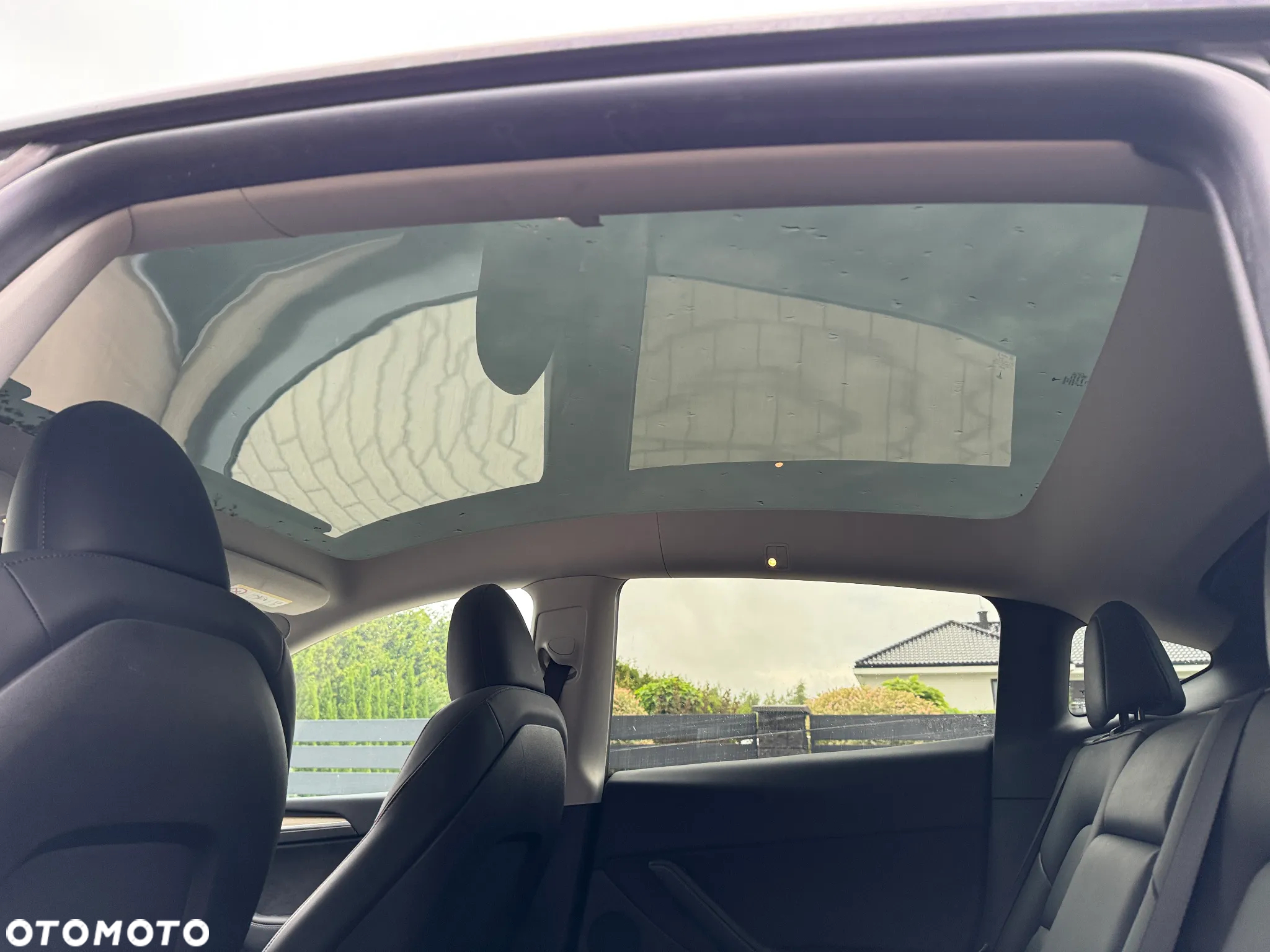 Tesla Y Model RWD - 24