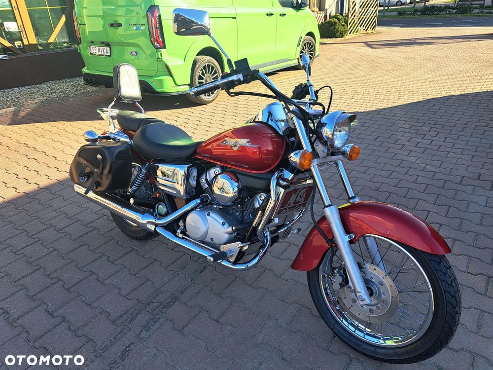 Honda Shadow - 19