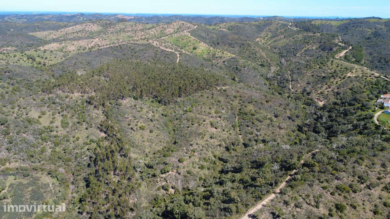Terreno Rústico com 27885m2 - São Barnabé - Grande imagem: 2/11