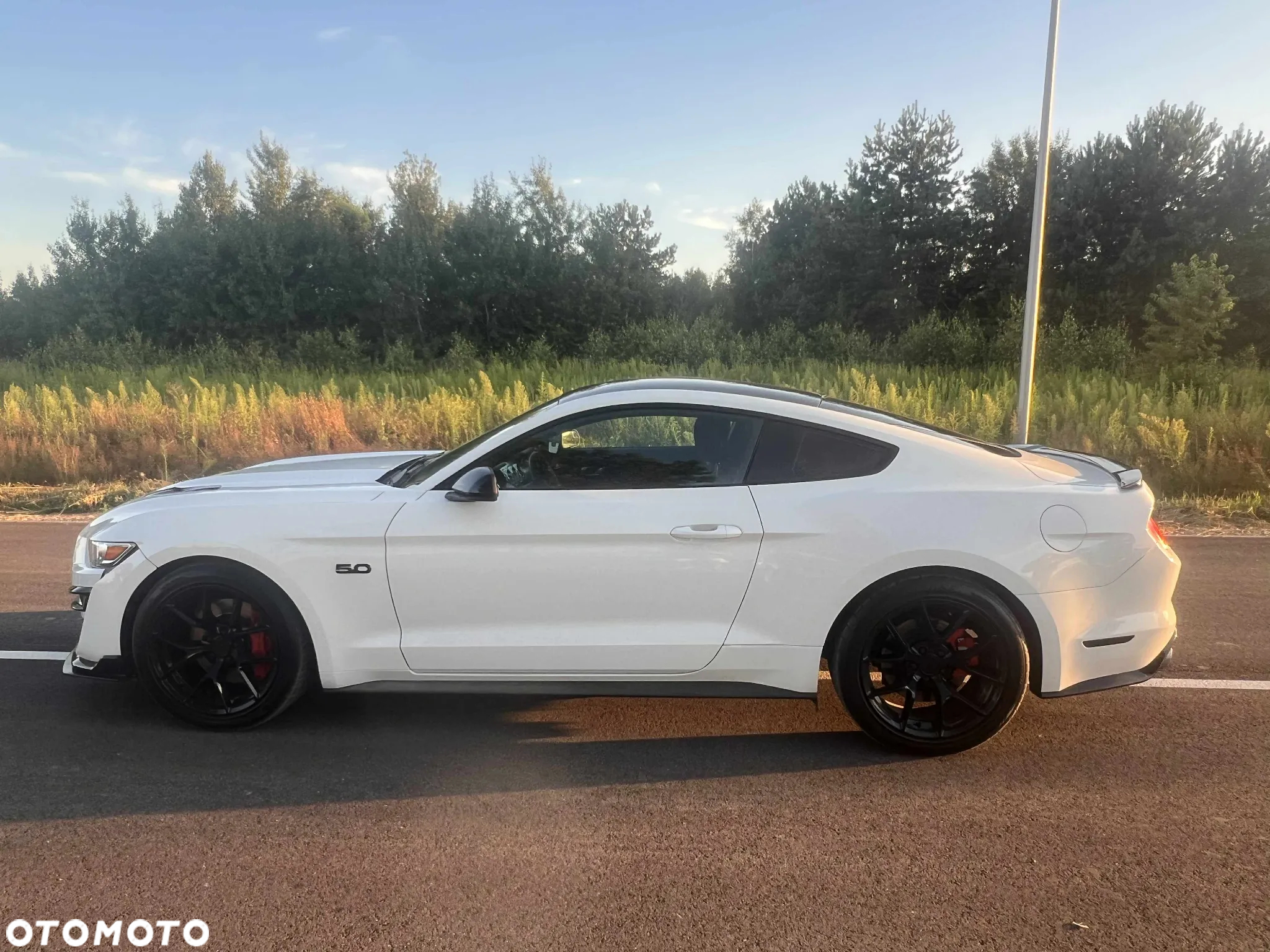 Ford Mustang 5.0 V8 GT - 7