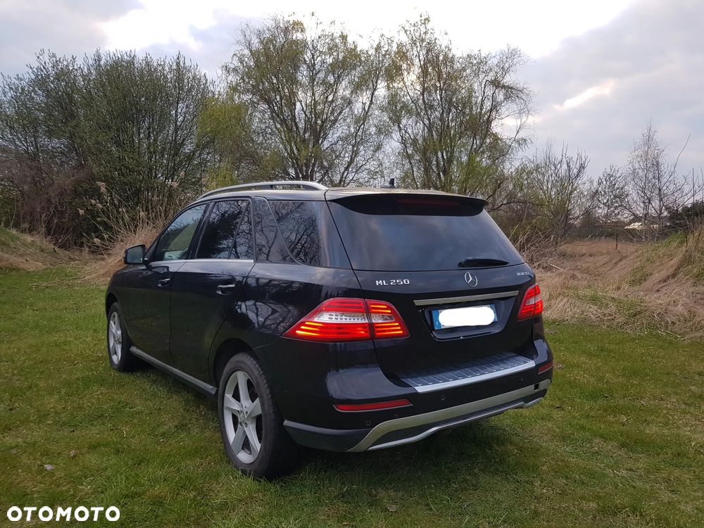 Mercedes-Benz ML 250 BlueTEC 4MATIC 7G-TRONIC - 3