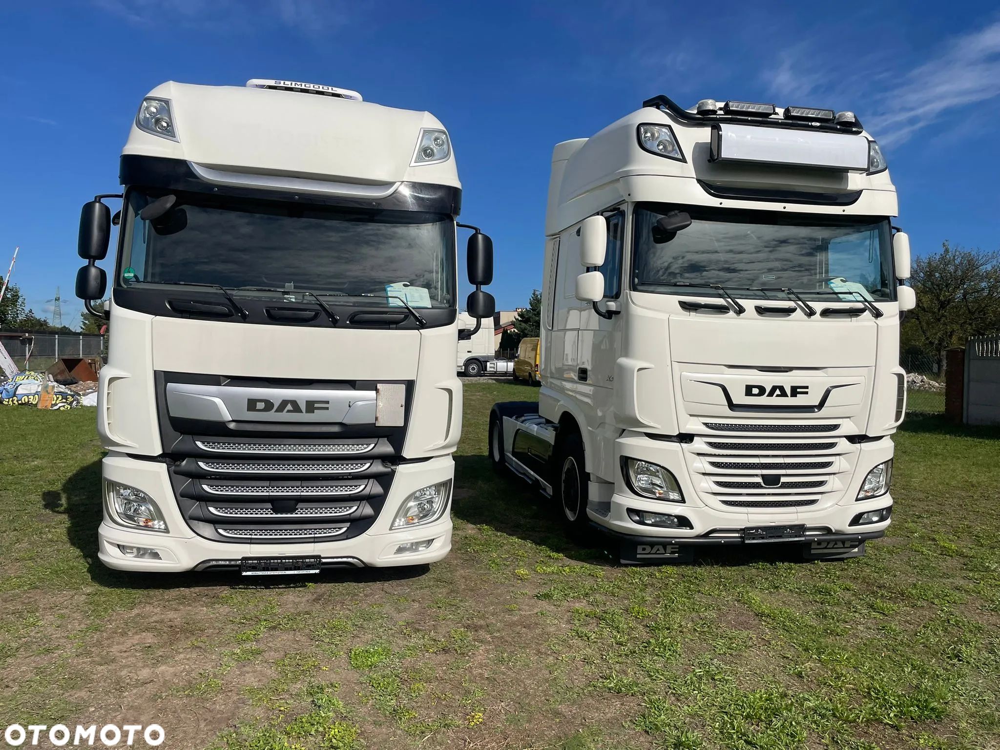 DAF - 1