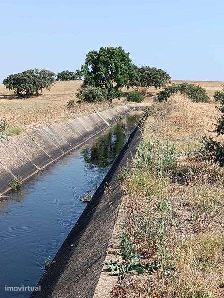 herdade no baixo Alentejo - Grande imagem: 2/11
