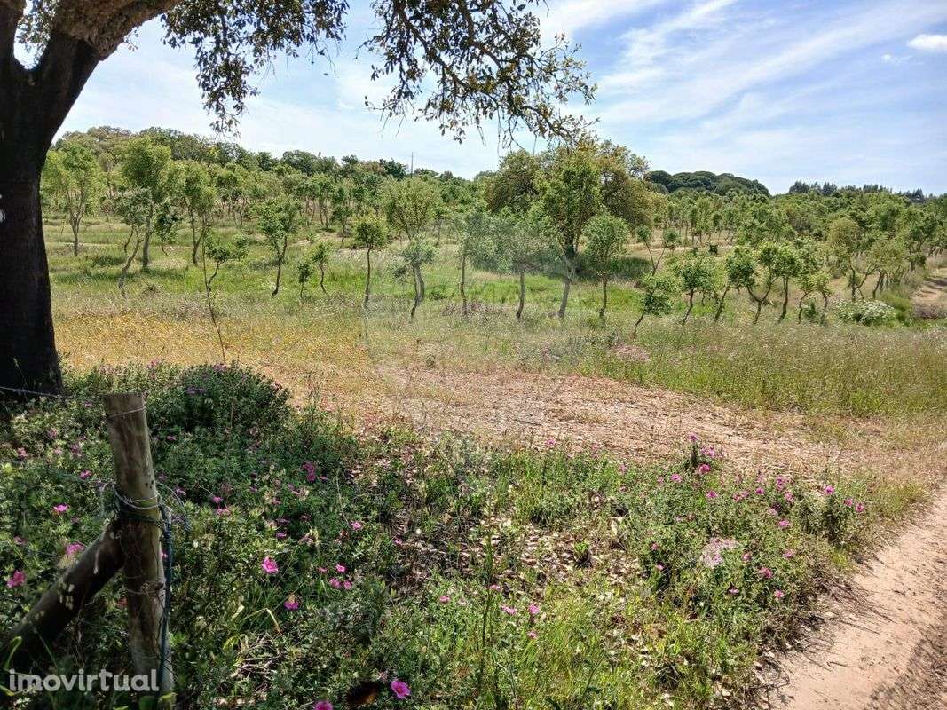 Moradia T2 para venda - Grande imagem: 4/14