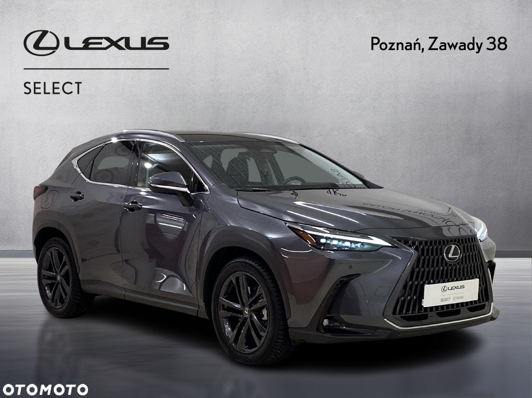 Lexus NX - 8