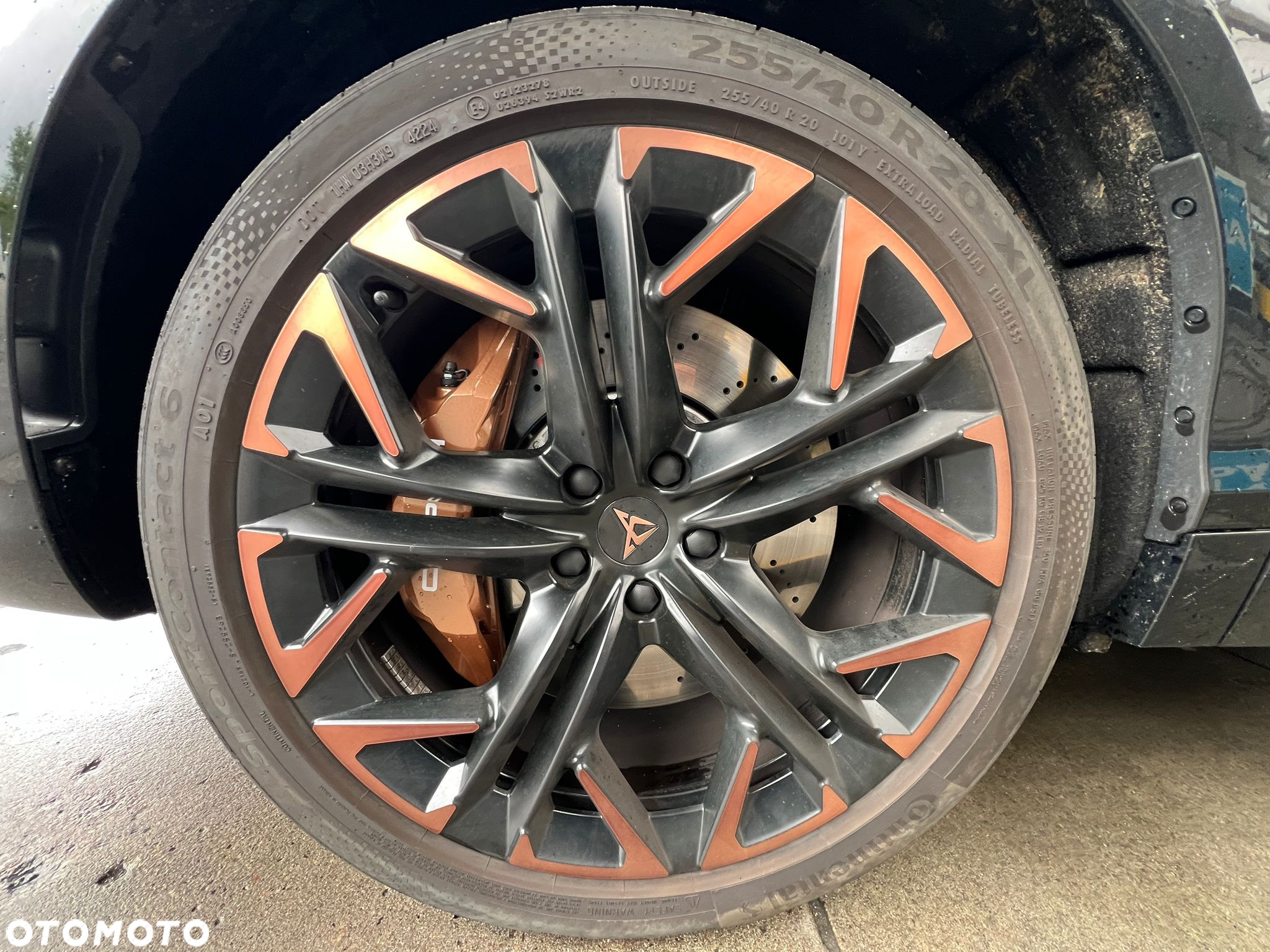 Cupra Terramar 2.0 TSI 4Drive VZ DSG - 9