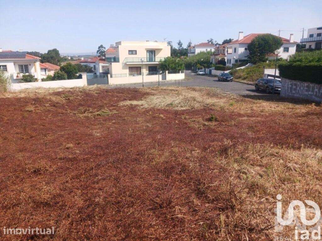 Terreno para construção em Lourinhã e Atalaia - Grande imagem: 4/17