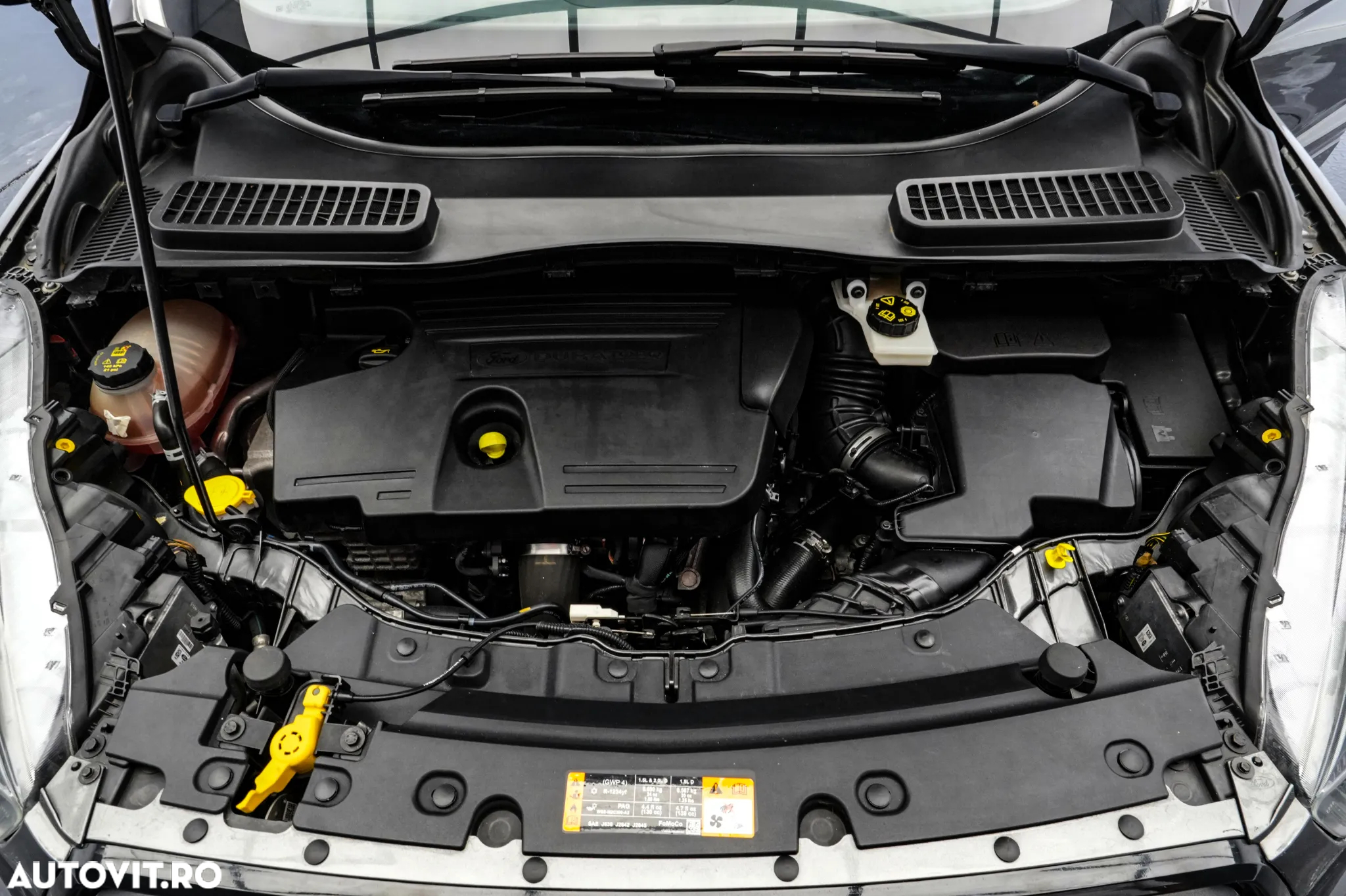 Ford Kuga 2.0 TDCi 4WD Powershift ST-Line - 23