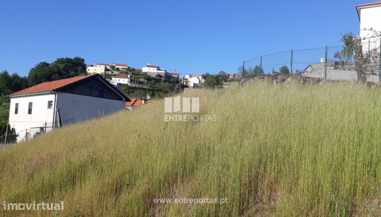 Venda Terreno, Loivos do Monte, Baião - Grande imagem: 5/6