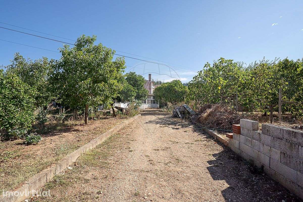 Moradia T2 para venda - Grande imagem: 3/26