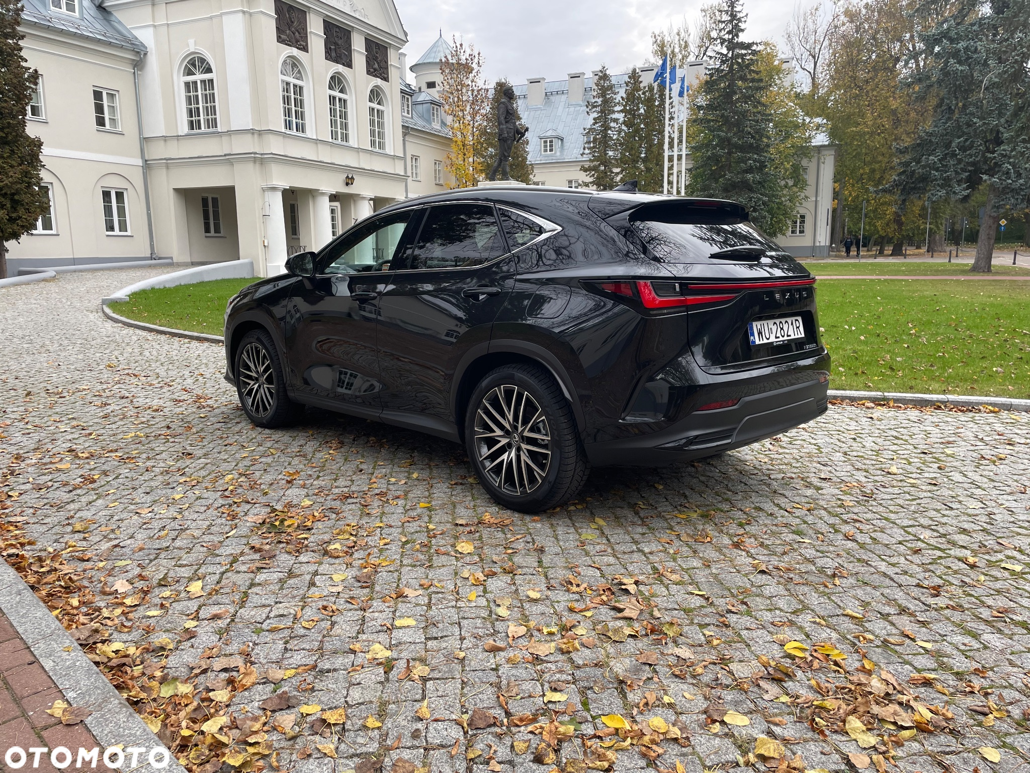 Lexus NX 350h Omotenashi AWD - 7