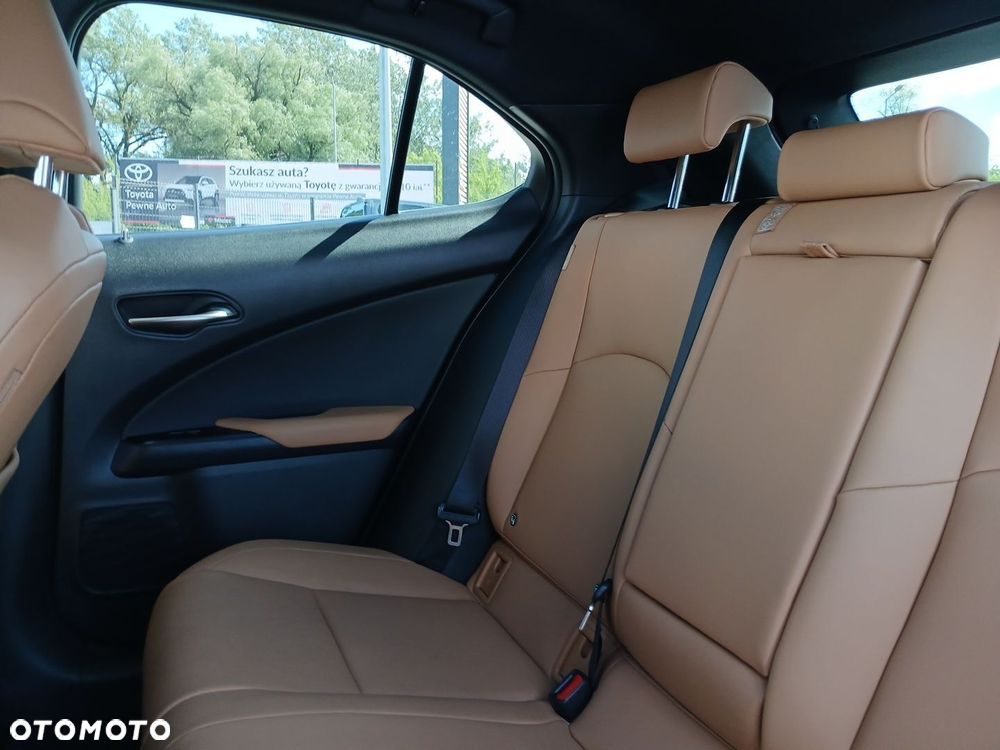 Lexus UX 250h GPF F Sport Design 2WD - 14