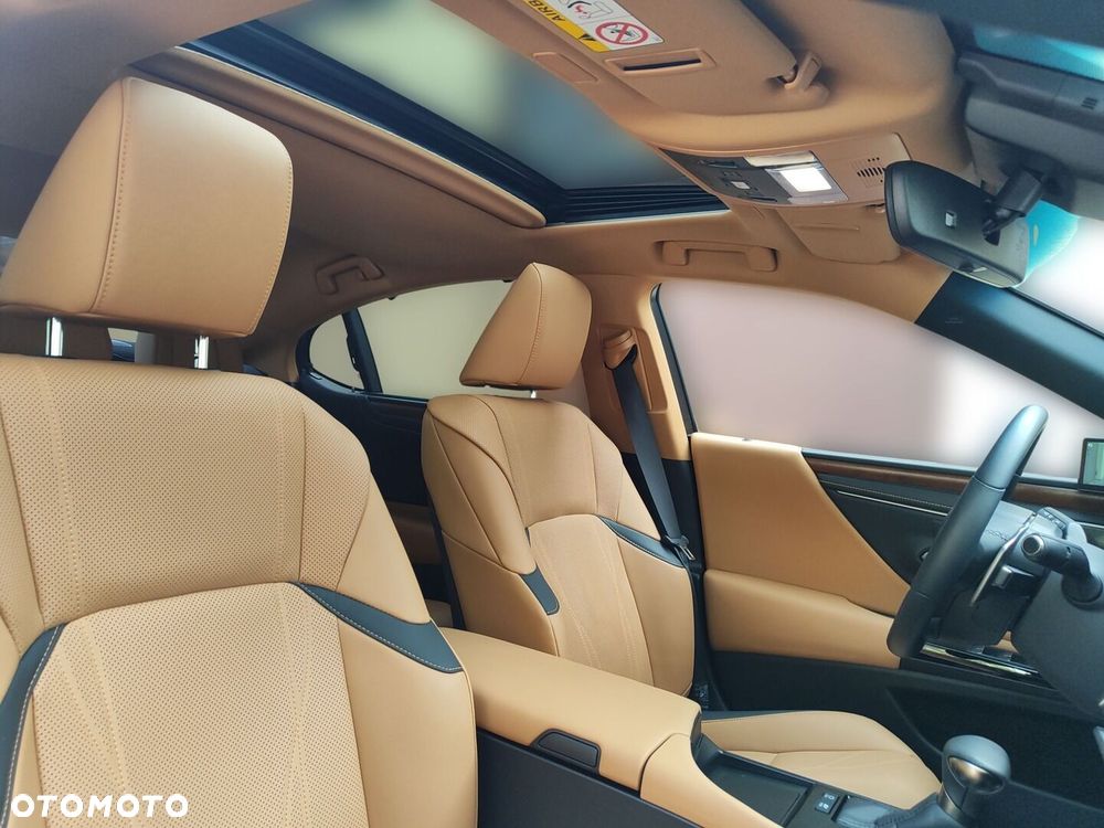 Lexus ES 300h Omotenashi - 15