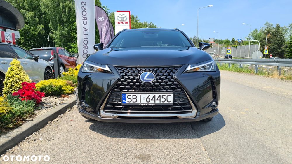 Lexus UX 250h GPF Prestige AWD - 40
