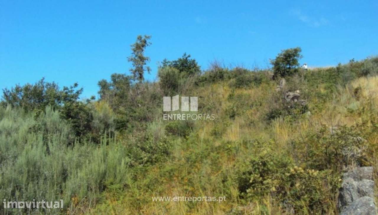 Venda Terreno, Valadares, Baião - Grande imagem: 4/7