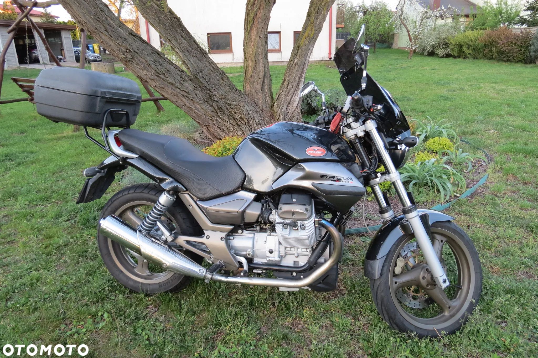 Moto Guzzi Breva - 1
