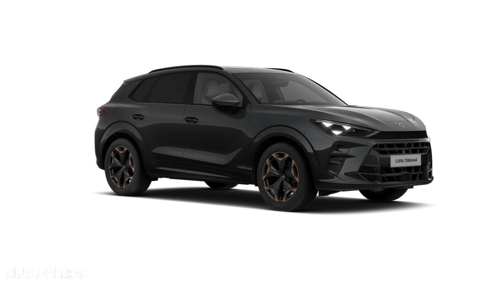 Cupra Terramar - 2