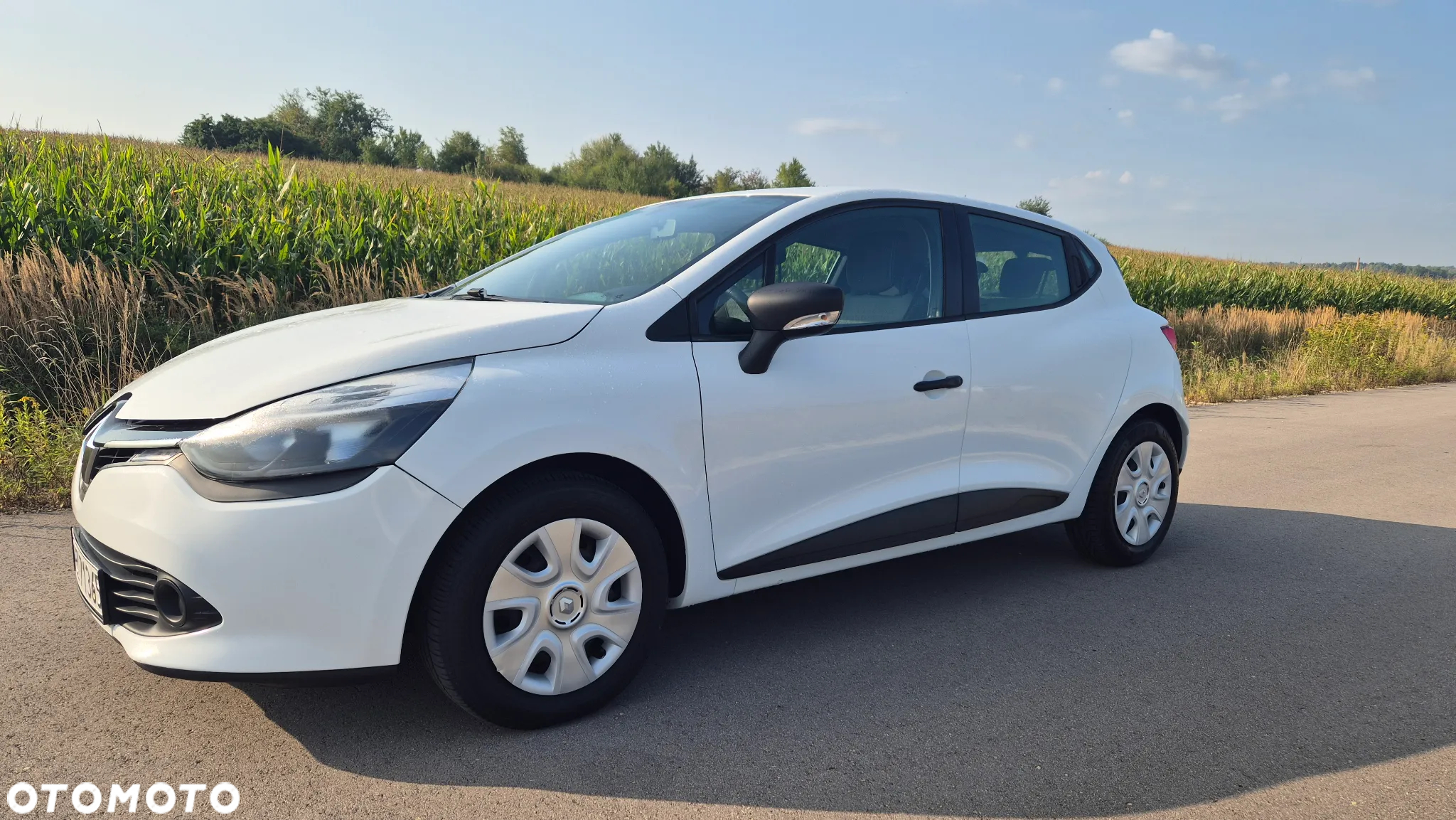 Renault Clio - 13