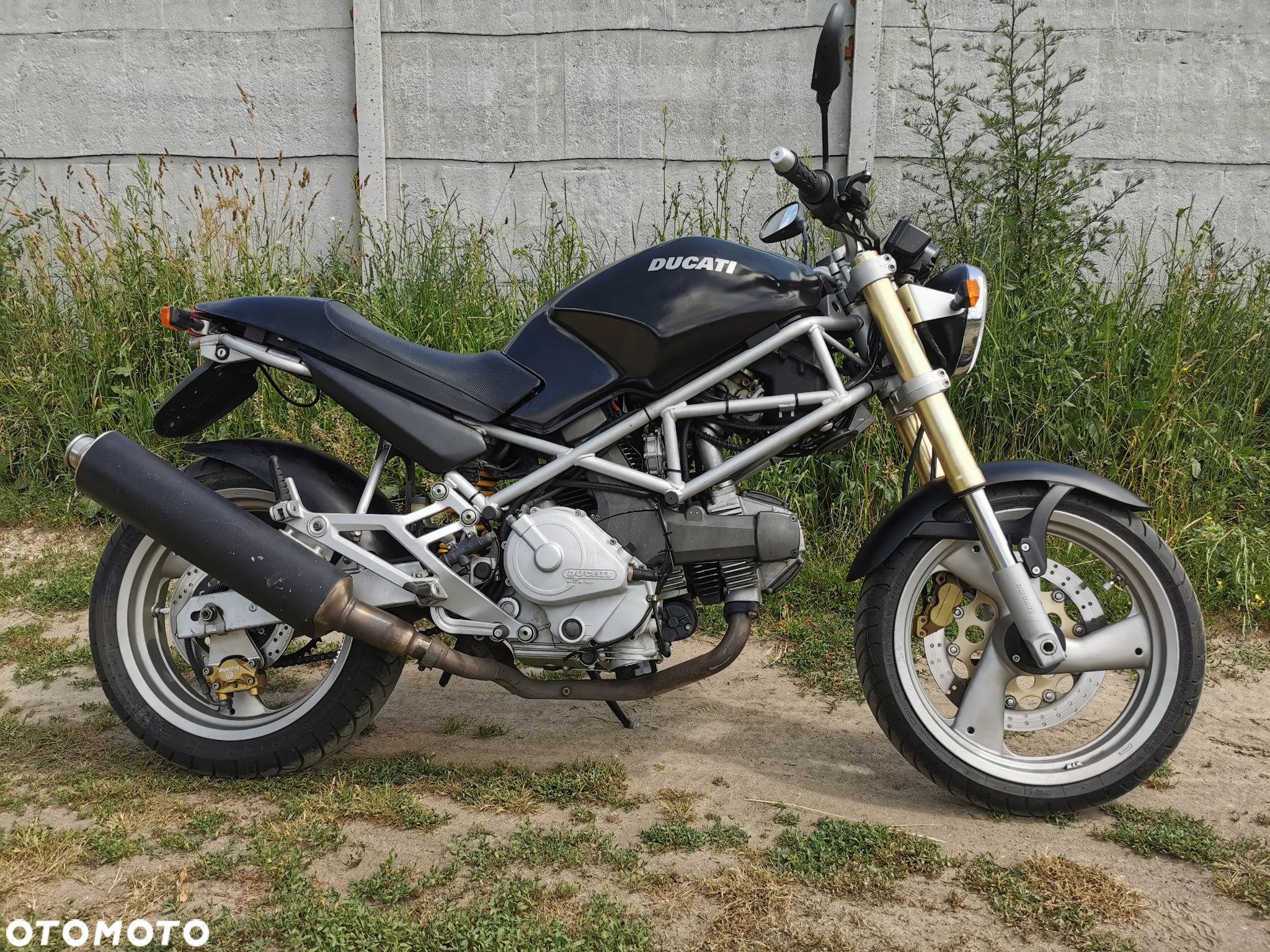Ducati Monster - 1