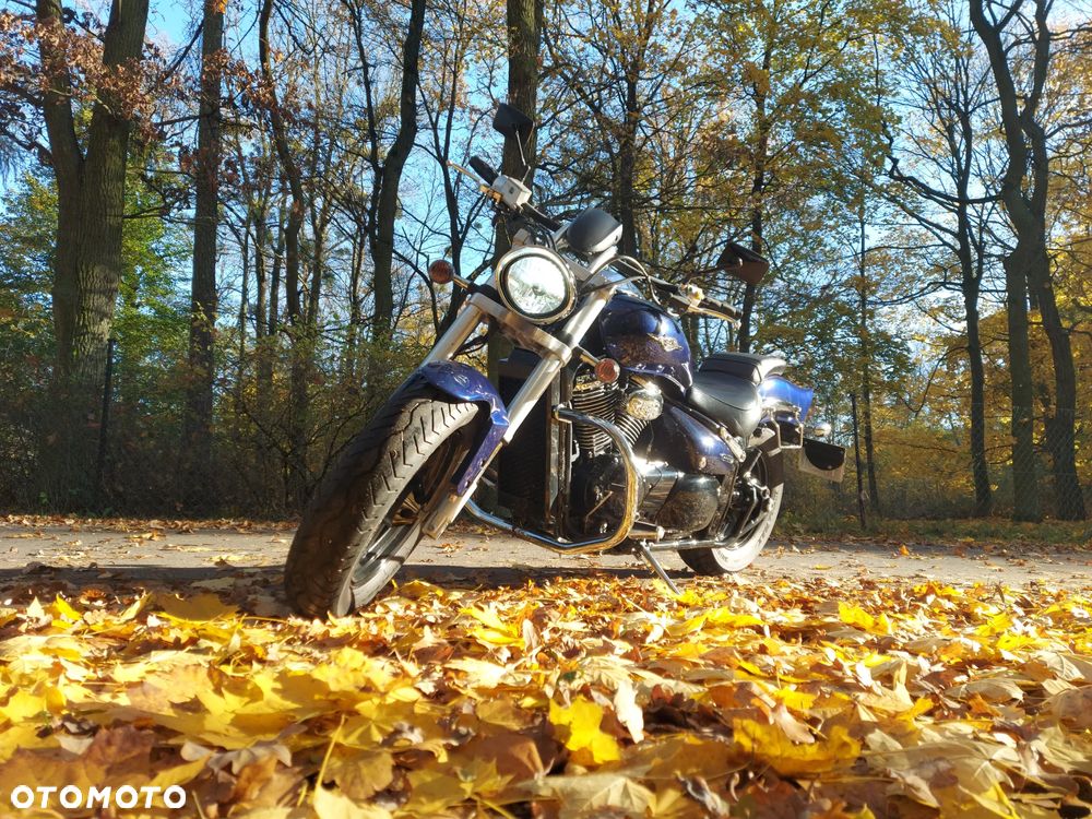 Suzuki Intruder - 27