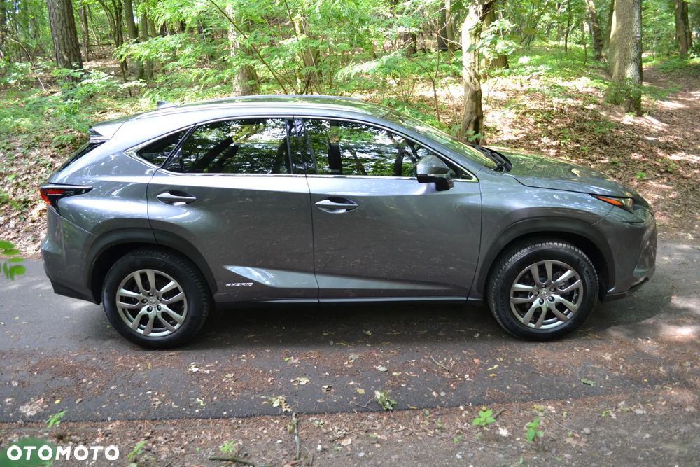 Lexus NX 300h - 2