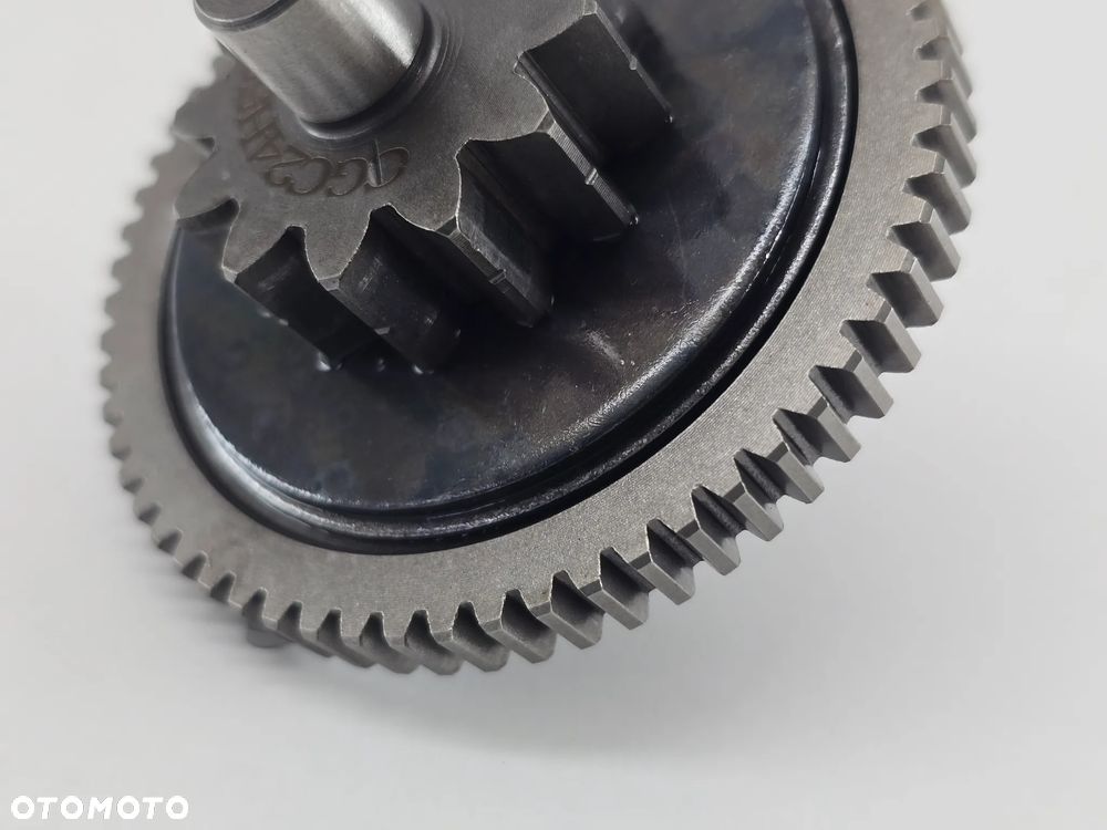 TRYB ROZRUSZNIKA  KOLO ZEBATE  TRIUMPH SCRAMBLER 400 SPEED - 3