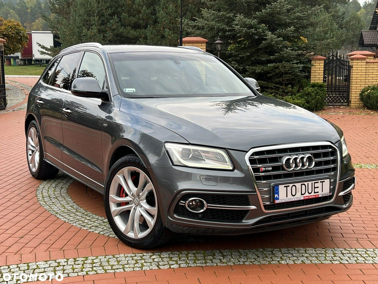 Audi SQ5 - 5