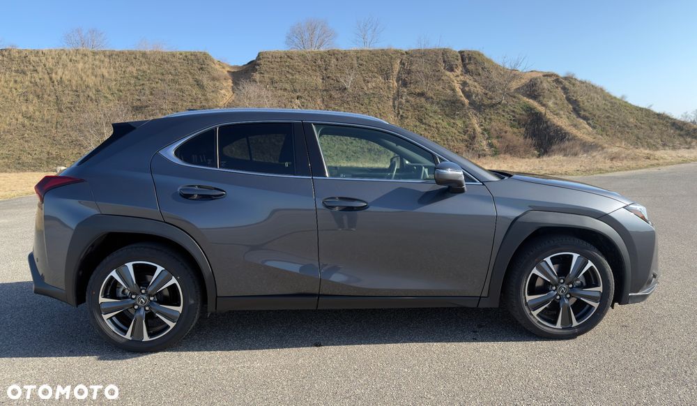 Lexus UX 300h - 4