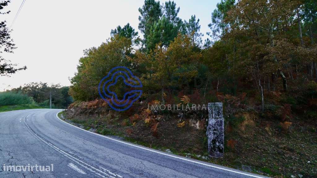 Terreno Florestal - Queimada - Baião - Grande imagem: 3/5