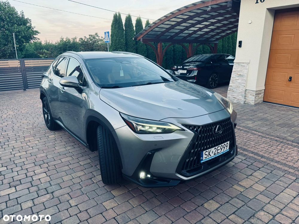 Lexus NX - 10