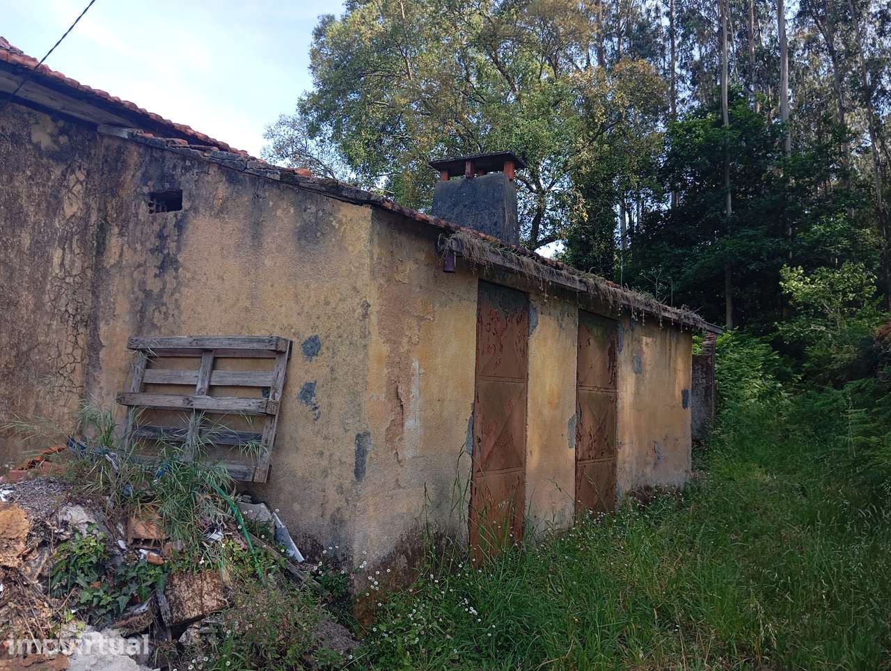 Moradia para restauro em Travanca, Oliveira de Azeméis - Grande imagem: 3/18