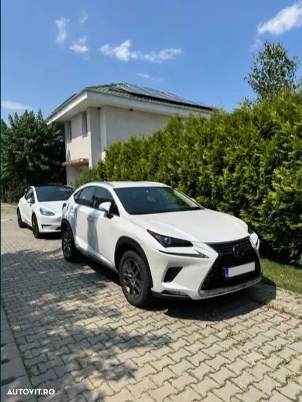 Lexus Seria NX - 1