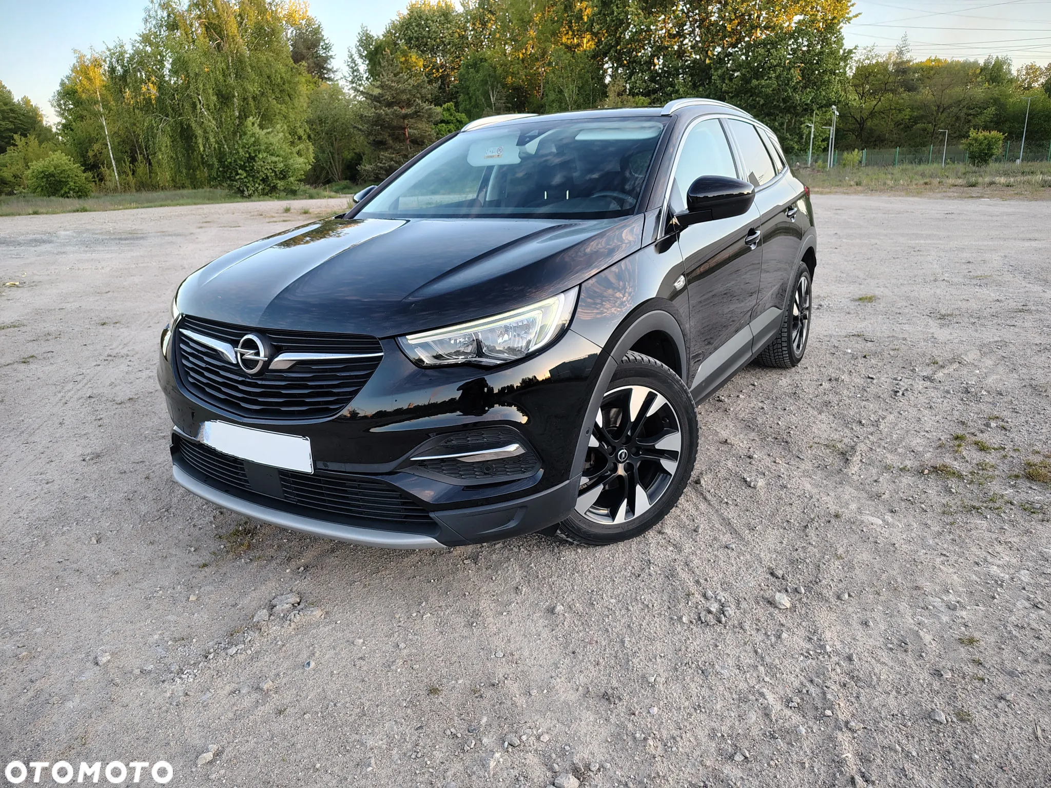 Opel Grandland X 1.6 CDTI Elite S&S - 3