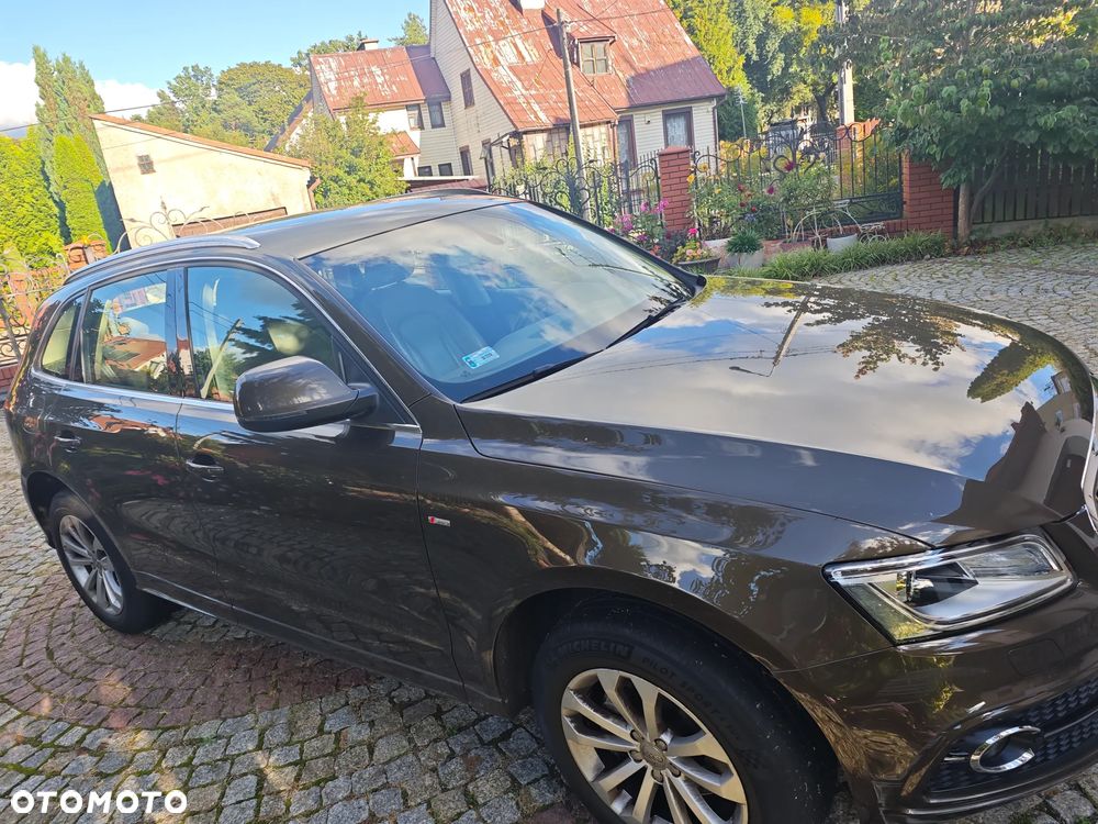 Audi Q5 2013 photo 3