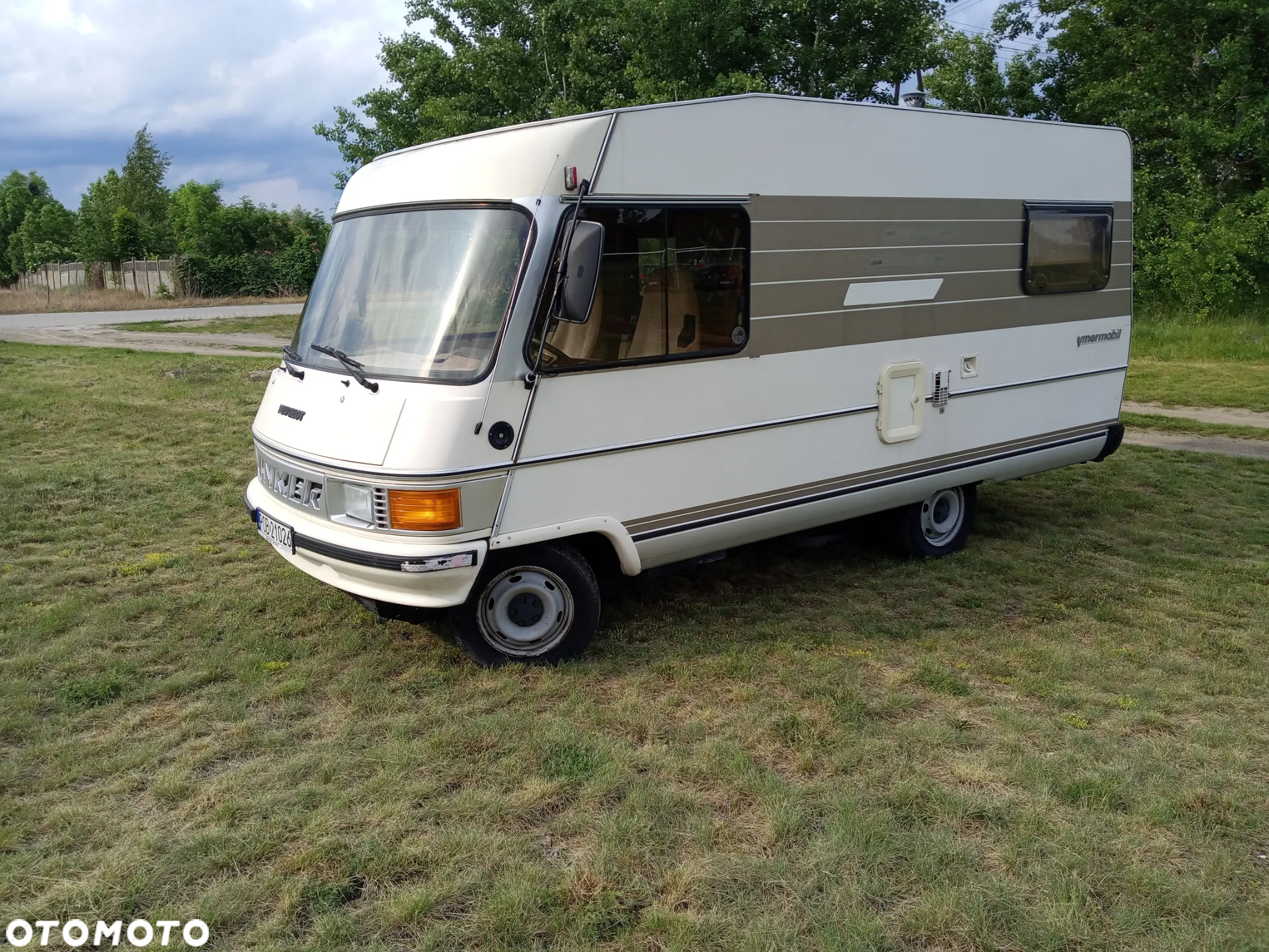 Peugeot Inny - 29