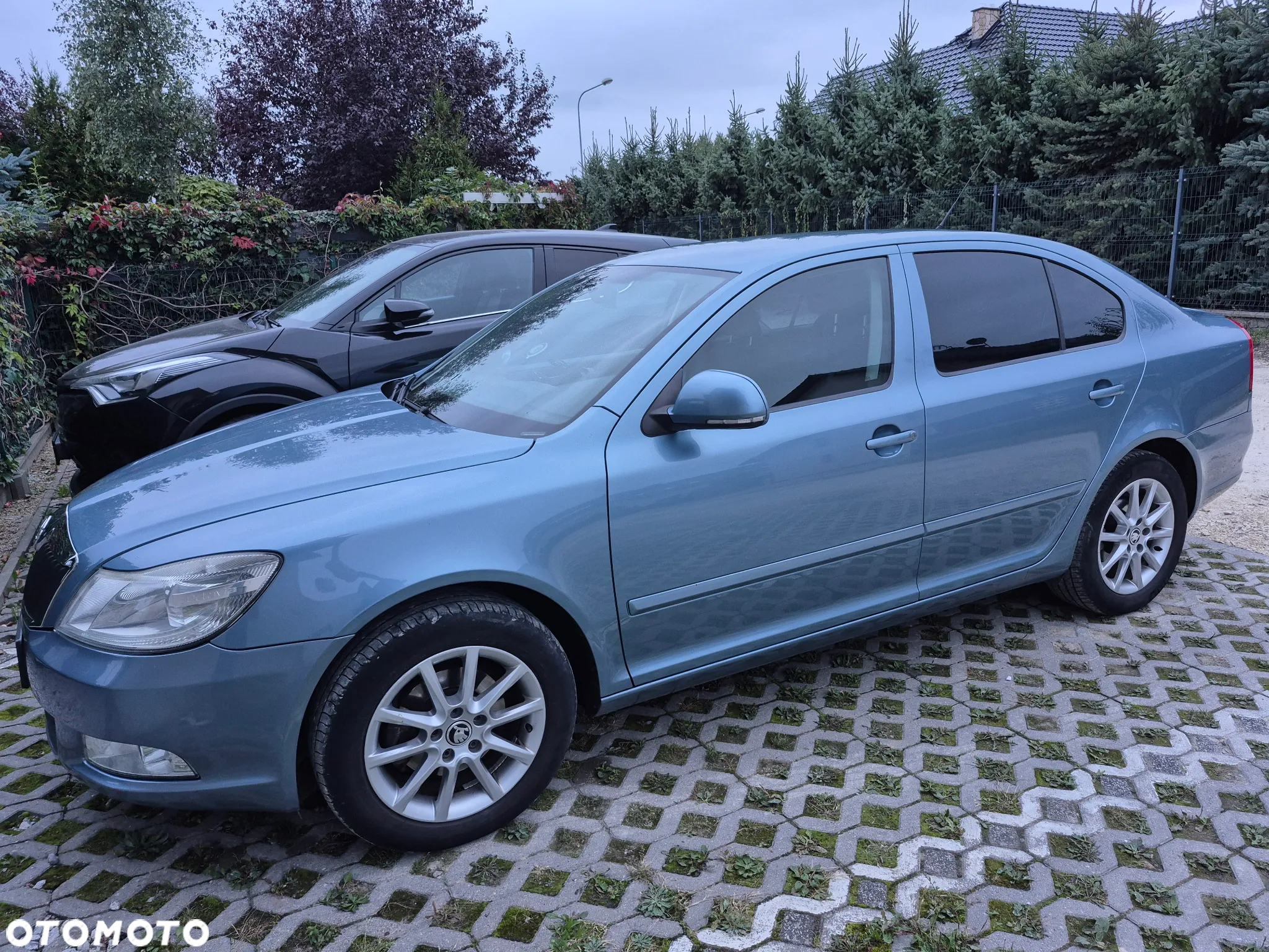 Skoda Octavia 1.6 Ambiente - 3