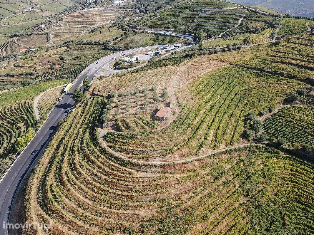 Quinta  para venda - Grande imagem: 2/13