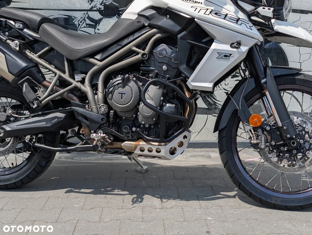Triumph Tiger - 19