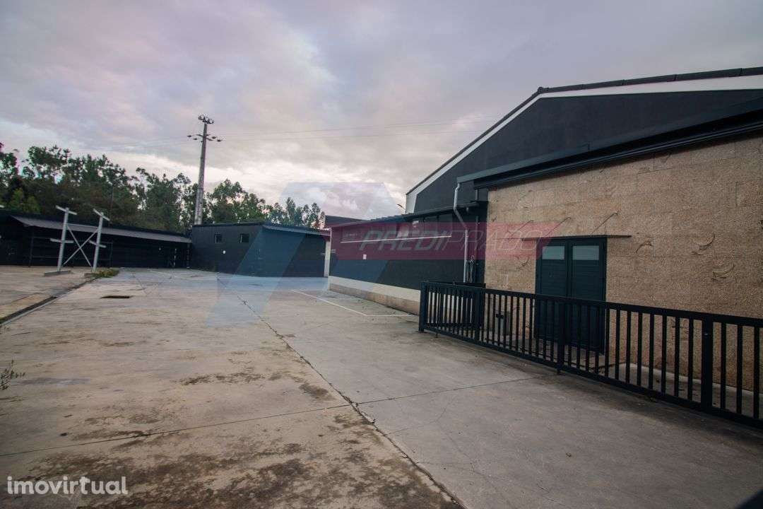 Pavilhão à face da Estrada Nacional 205! - Grande imagem: 4/8