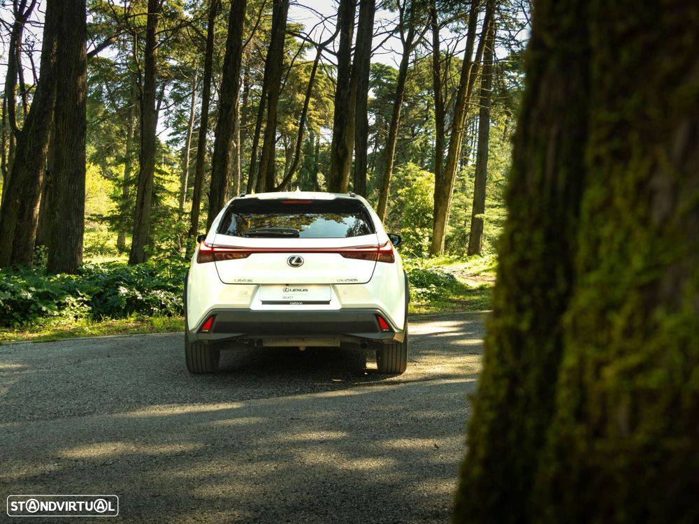 Lexus UX 250h Special Edition (LCA) - 20