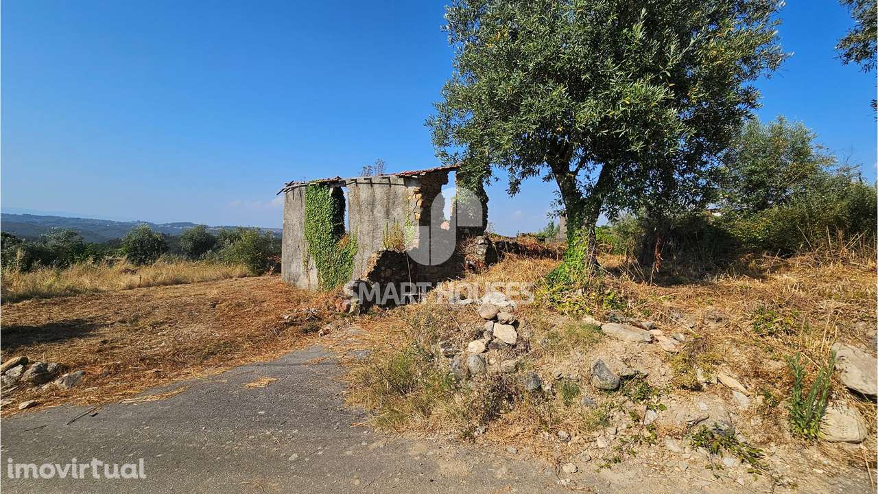 Moradia T3 Picadouro p/ reconstruir - Grande imagem: 2/15