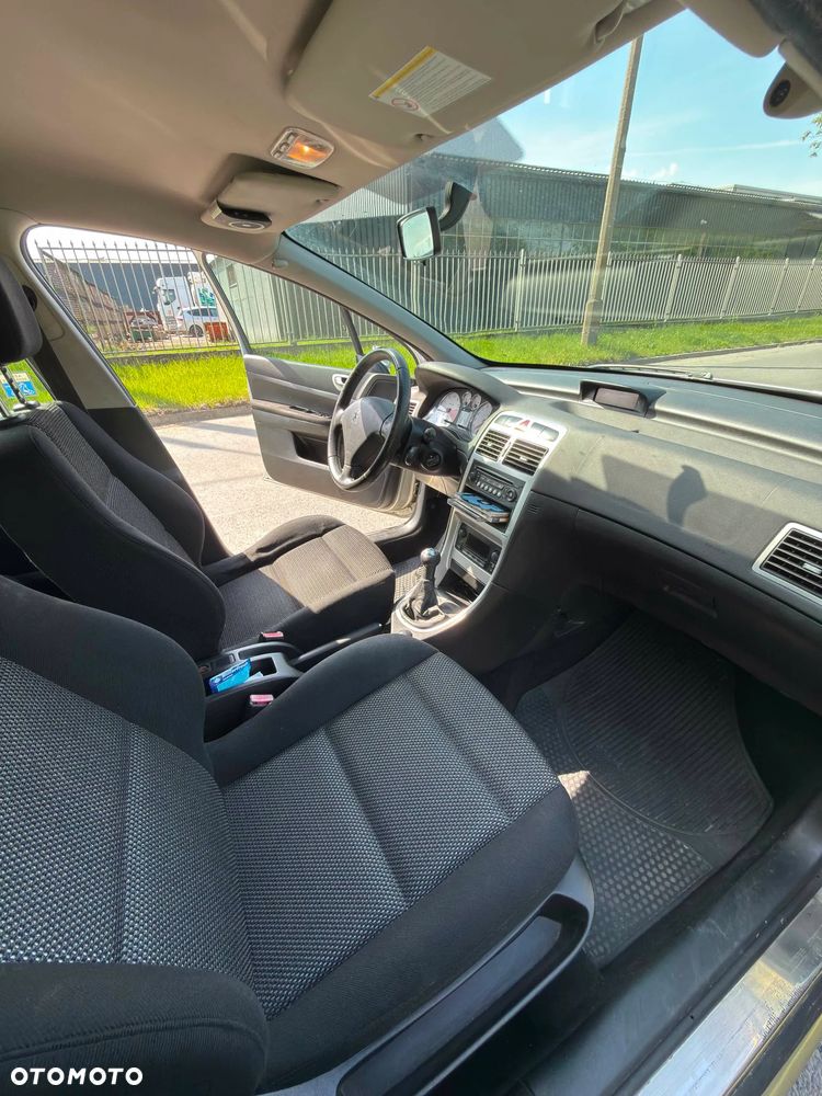 Peugeot 307 1.6 Oxygo - 10